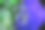 满月抽象的花朵和数字图片下载