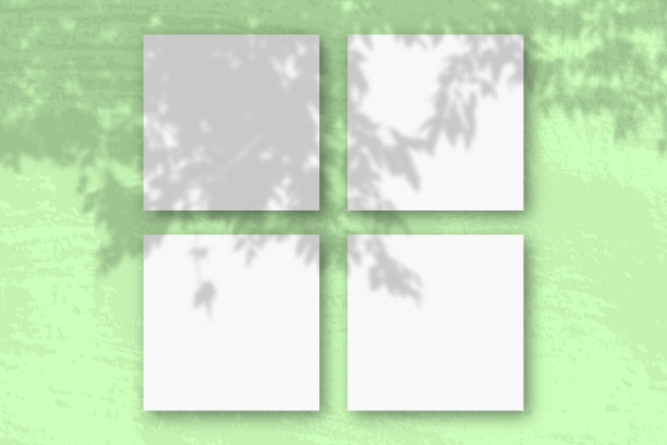 自然光从苹果的一个分支投射阴影在4张方形的白色纹理纸上图片下载