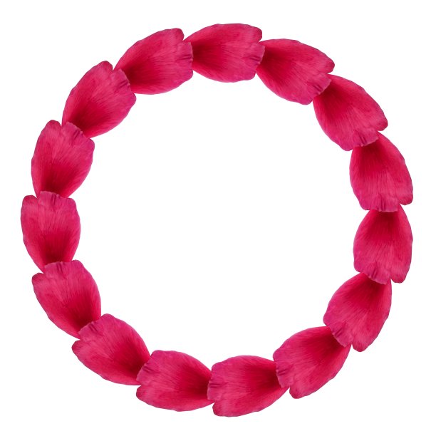 花圆形框架边界的热红花瓣图片下载