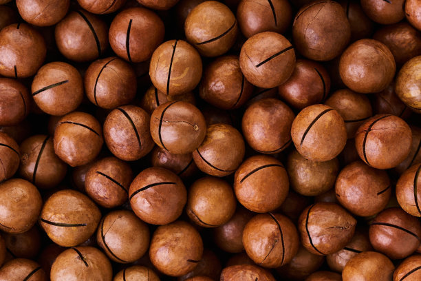 果仁碎石质地特写图片下载