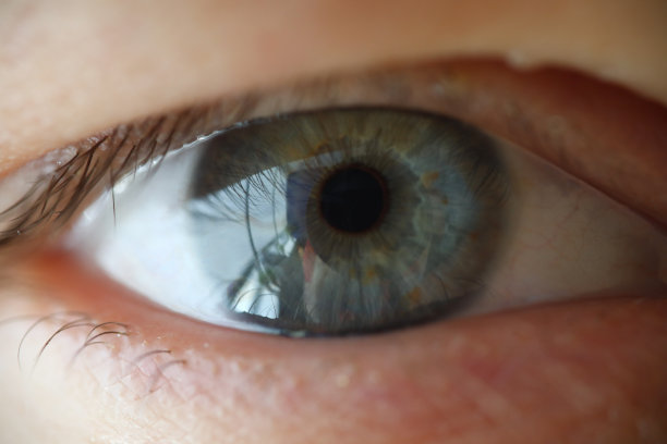 成人脸部的详细图片图片下载