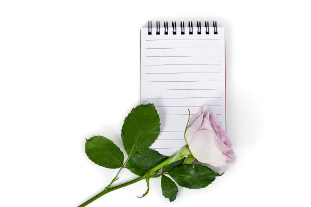 玫瑰花和记事本图片下载