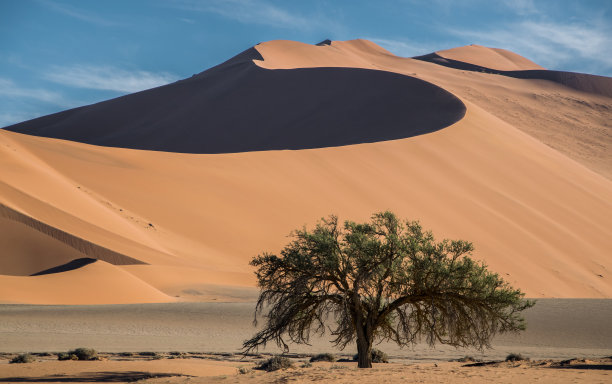 超出了沙丘……图片下载