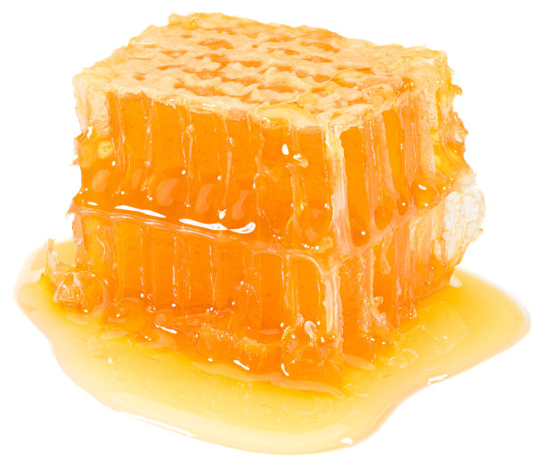 蜂巢孤立在白色背景上。全景深图片下载