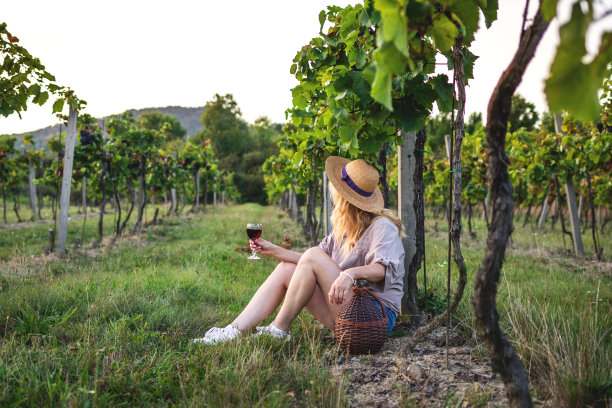 戴着草帽的女人在葡萄园里喝红酒图片下载
