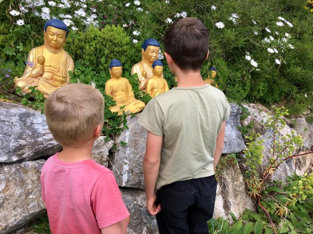 孩子们看着金佛图片下载