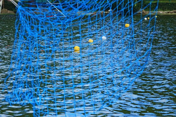 罗马欧尔湖的龙舟比赛图片下载