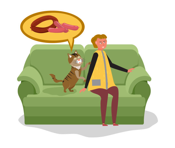 女人带着猫坐在沙发上向猫乞讨食物图片下载