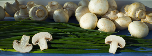 Banner。绿色洋葱和蘑菇背景。整个和切片的蘑菇。图片下载