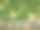 苹果树图片下载