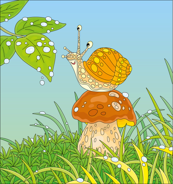 有趣的花园蜗牛玩雨滴图片下载