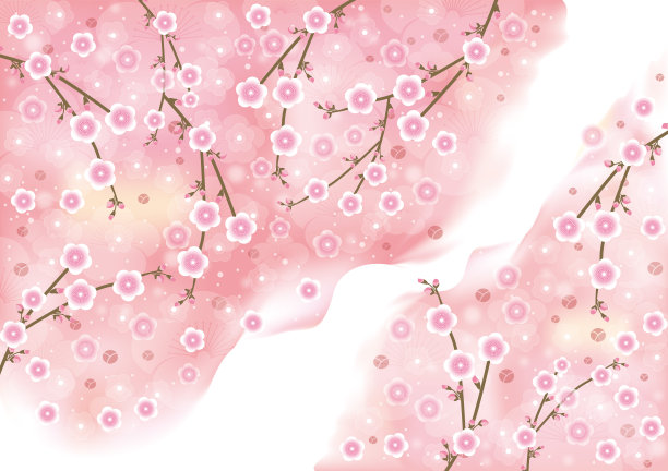 梅花盛开图片下载