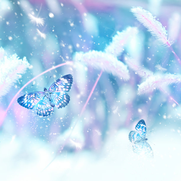 粉红色的蝴蝶在雪地里的野草的映衬下飞舞。神话般的冬春形象。魔法花园。冬季仙境。方格式。图片下载