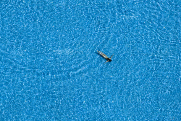 在游泳池里游泳的女人，俯视图图片下载