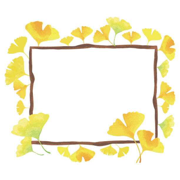 银杏细枝相框。黄色的。秋天的形象。白色背景图片下载