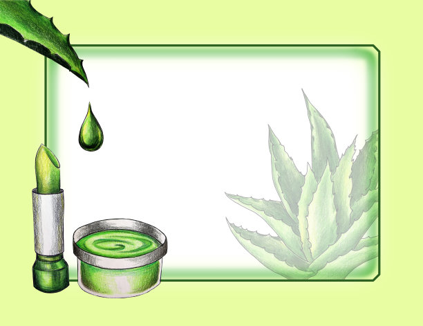化妆品芦荟凝胶和天然抗生素。含芦荟的物质或产品草药，草药化妆品，草药治疗框架图片下载
