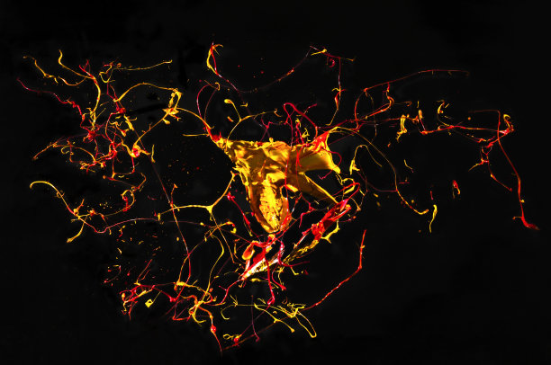 气球爆炸图片下载