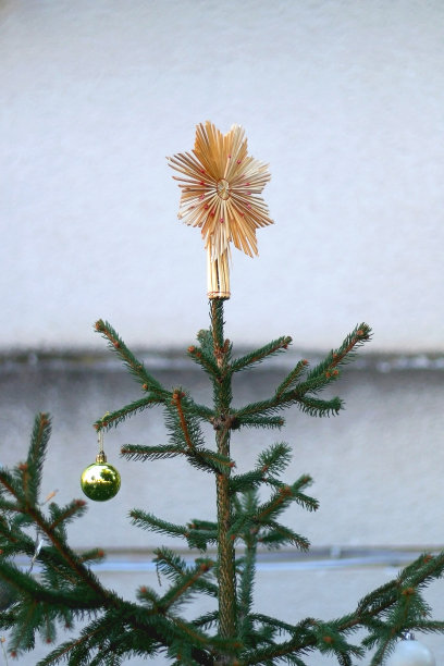 圣诞树图片下载