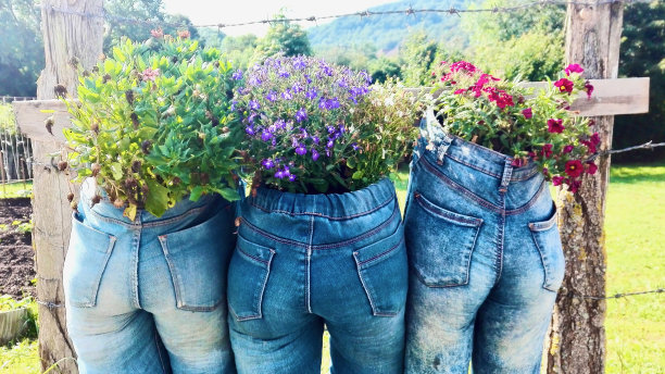 牛仔裤与鲜花-在圣地亚哥的散步图片下载