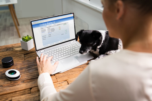 办公室网上储蓄账户图片下载