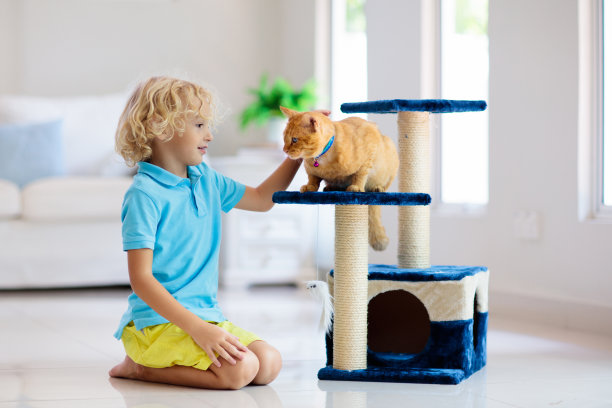 孩子在家里和猫玩。孩子和宠物。图片下载