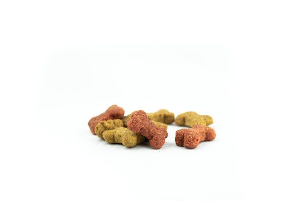 美丽的狗粮在白色孤立的背景图片下载