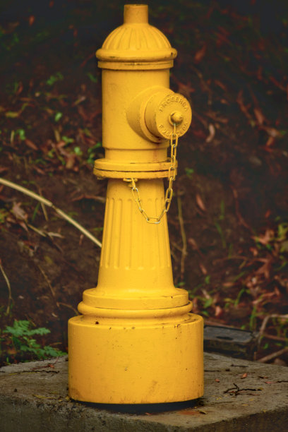 山坡上的一个消防栓图片下载