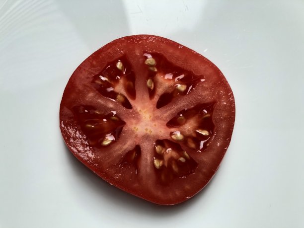 片番茄的图片下载