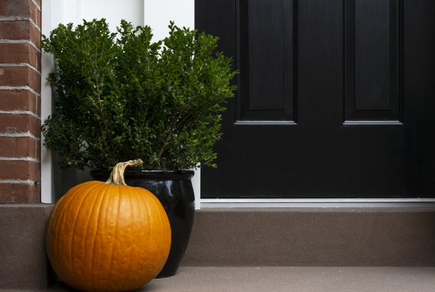 感恩节用南瓜和盆栽装饰前门。秋天的季节。图片下载