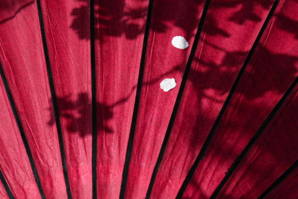 樱花和日本伞图片下载