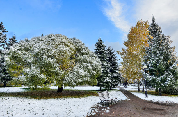 初雪在五彩缤纷的秋季城市公园图片下载