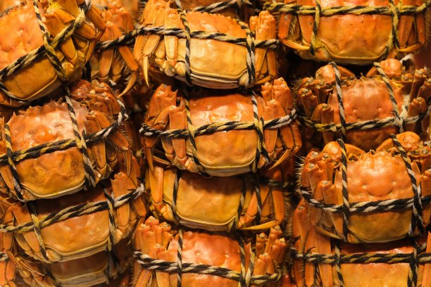 很多清蒸螃蟹图片下载