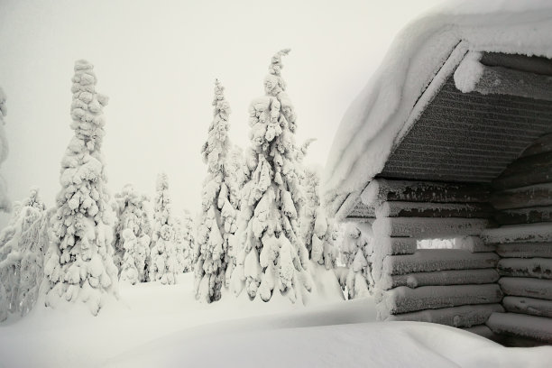 狩猎小屋在一个积雪的森林和大雪堆。图片下载