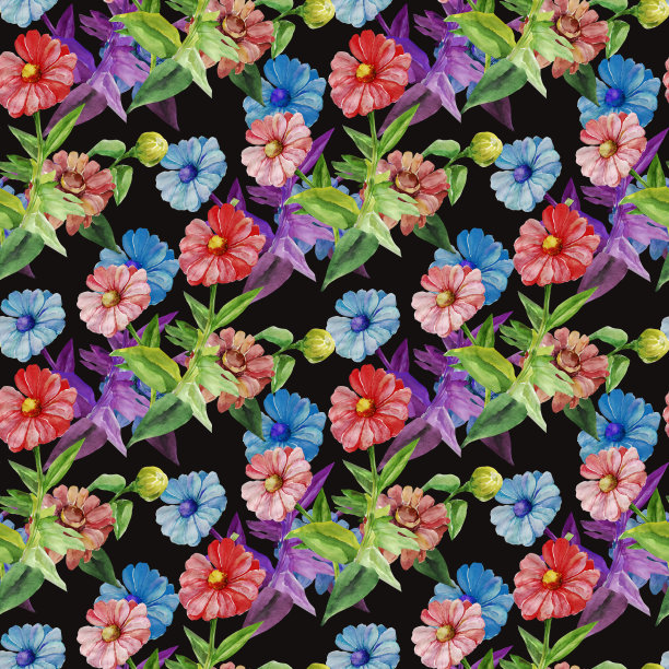 非洲菊模式图片下载
