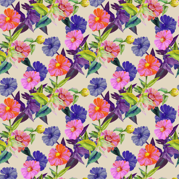 非洲菊模式图片下载