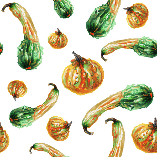 无缝图案的装饰南瓜在一个白色的背景。秋季水彩图案面料，纸包装，节日贺卡。图片下载