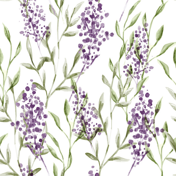 水彩薰衣草花无缝图案图片下载