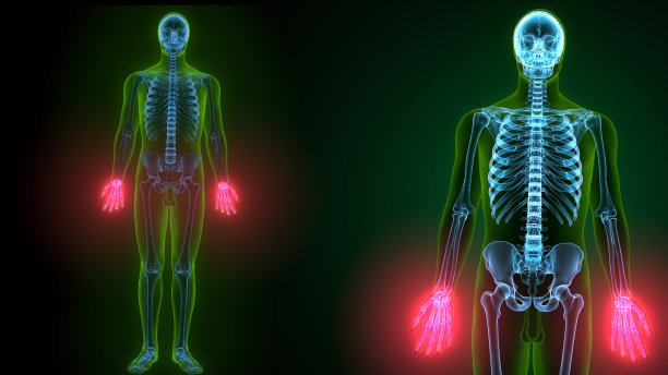 人体骨骼手部骨骼解剖的3d渲染图片下载