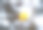 花园里新鲜成熟的苹果。图片下载