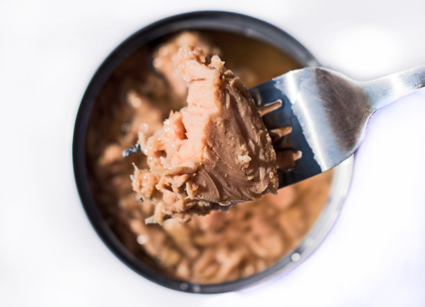 鱼罐头。金枪鱼。图片下载