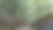 在拉齐诺山上的山毛榉林图片下载