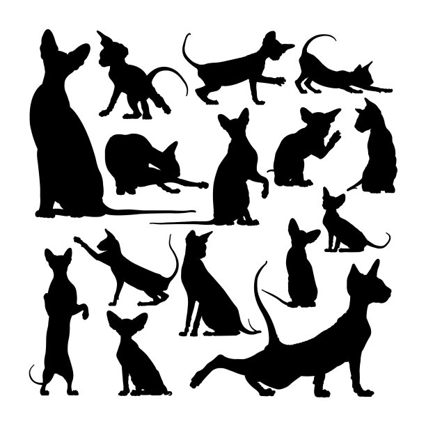 斑秃猫动物剪影图片下载