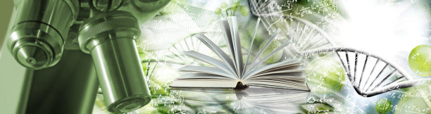 显微镜的图像，一本在程式化DNA链背景下打开的书图片下载