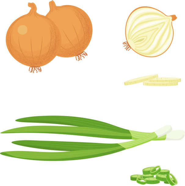 黄色和绿色的洋葱套环和切片图片下载