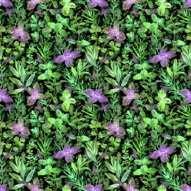 厨房烹饪香草香料水彩绿色清新无缝图案图片下载