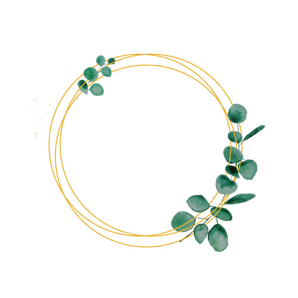 手绘现代贺卡上的白色横幅。水彩桉树金色框架印刷设计。花园的背景与绿色的树叶。图片下载