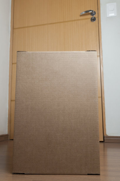 在送货的时候，把带订单的纸箱放在屋前的地板上，屋门在后面。图片下载