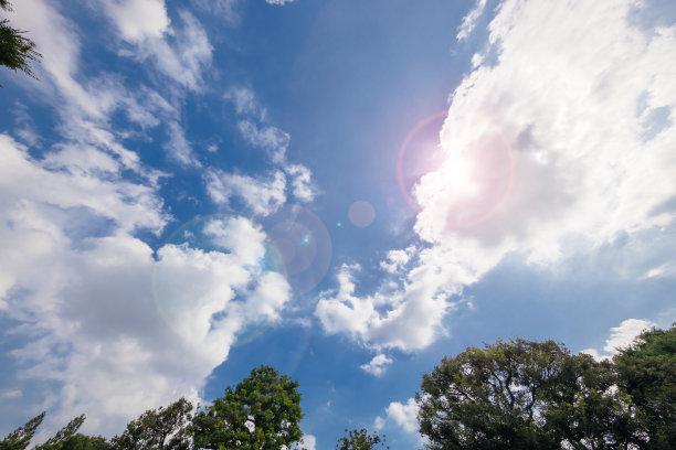 阳光下碧绿的天空图片下载