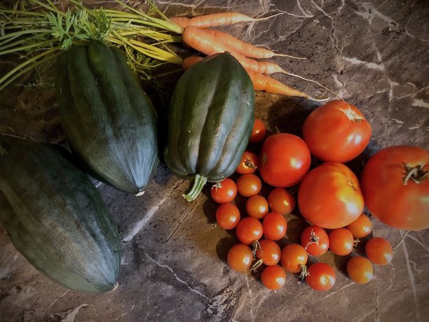 花园善良图片下载