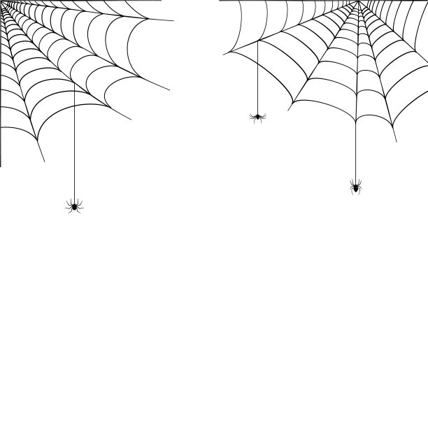 蜘蛛网的概念图片下载
